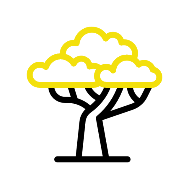 Arbre Généalogique animé
